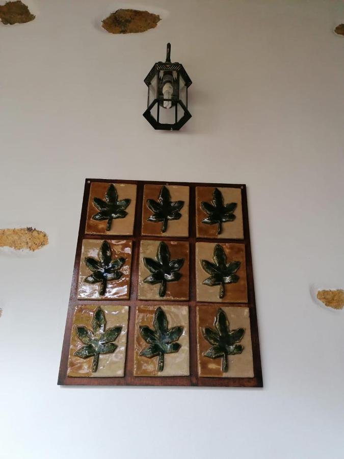 バジェエルモソ Preciosa Y Acogedora Casa Rural Roque Cano.ヴィラ エクステリア 写真